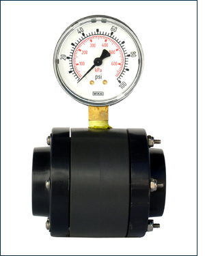 SENTINEL Flow-Thru Diaphragm Seal