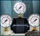 Gauge Guards & Diaphragm Seals